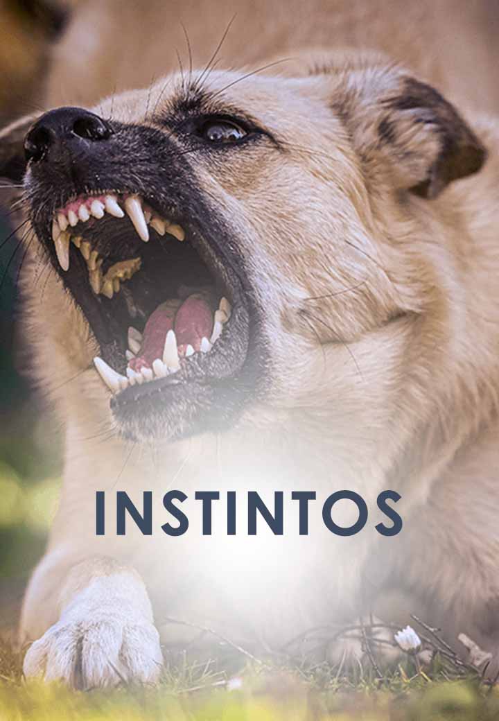 instintos 2